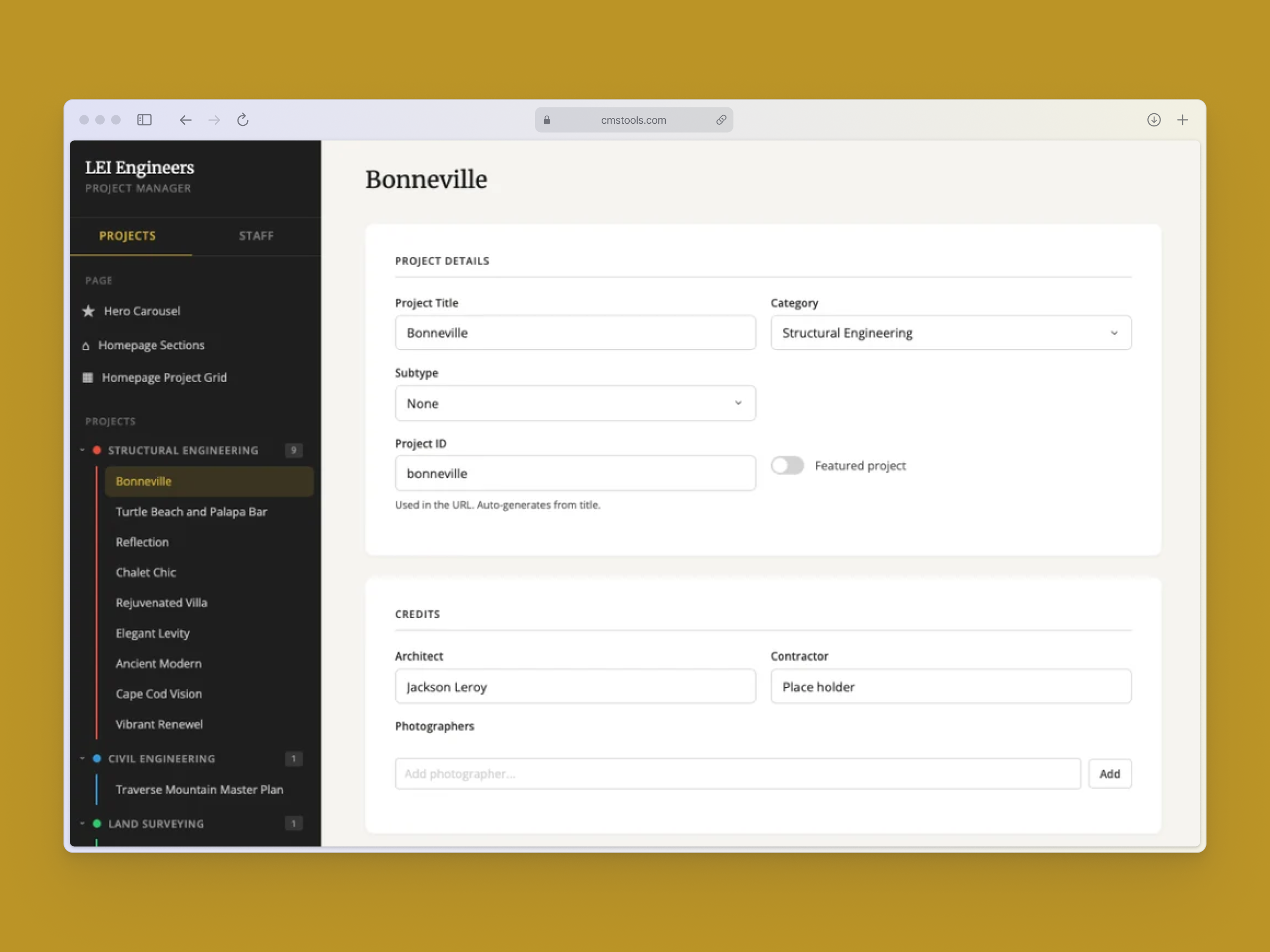 Custom content management system project editor